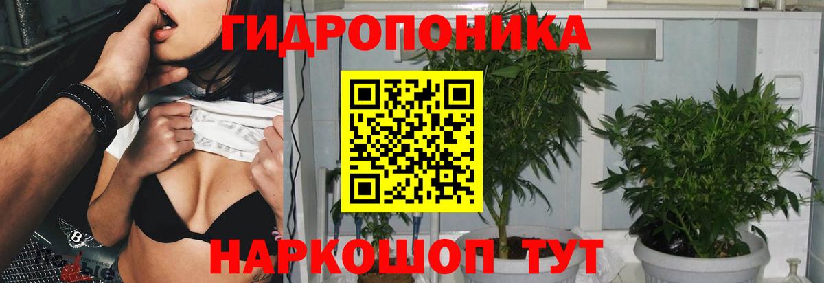 Бошки марихуана планчик  МАРИХУАНА план  Вход с VPN  Реж 